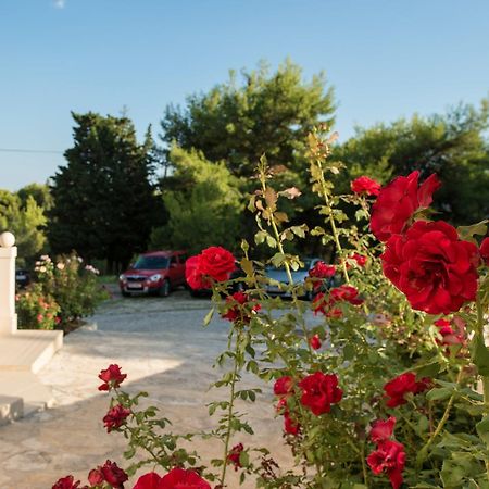 Sun House Apartments Bol Zewnętrze zdjęcie